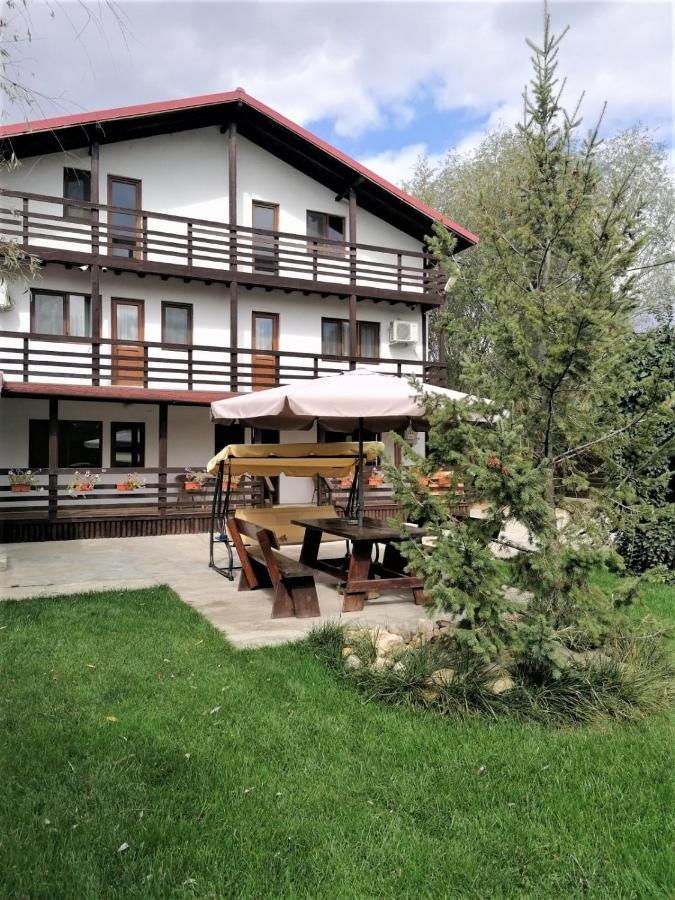ホテル Casa Carp Calarasi エクステリア 写真