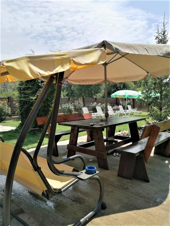 ホテル Casa Carp Calarasi エクステリア 写真