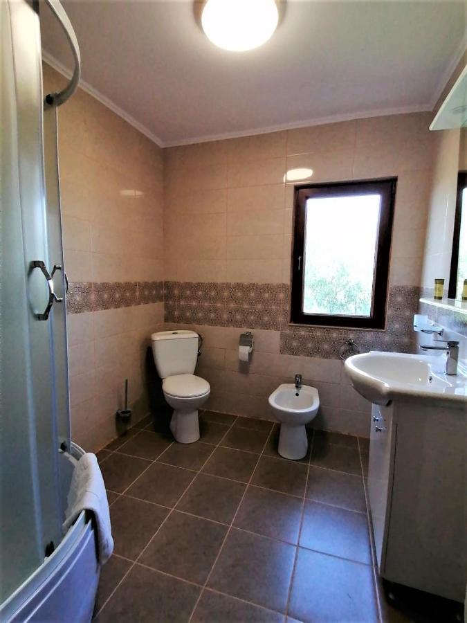 ホテル Casa Carp Calarasi エクステリア 写真