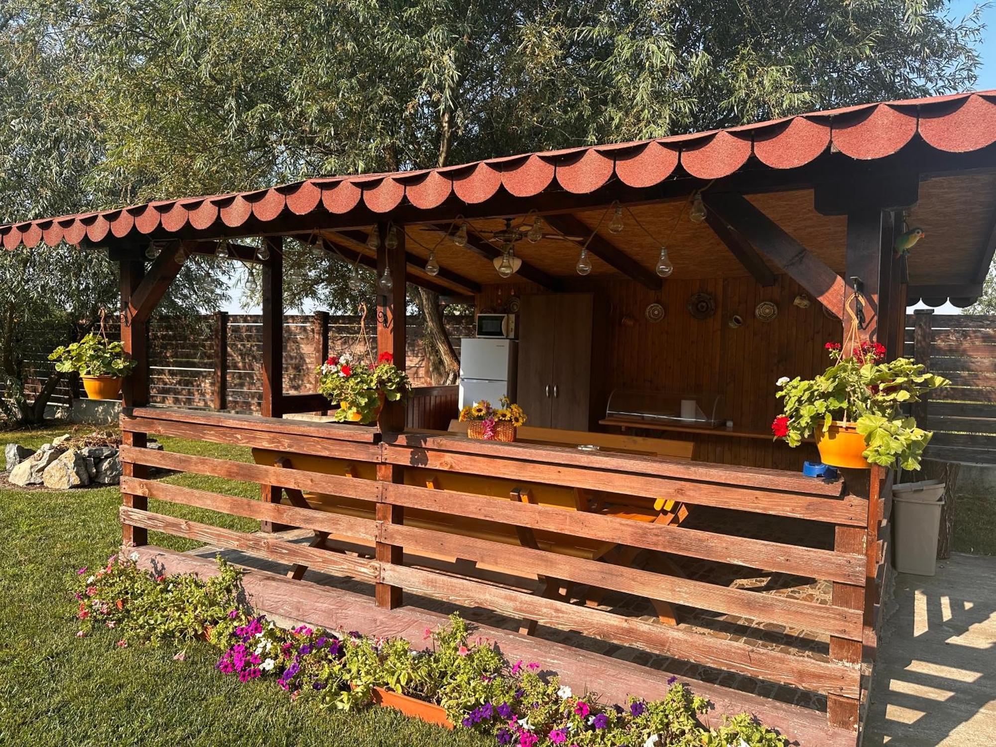 ホテル Casa Carp Calarasi エクステリア 写真
